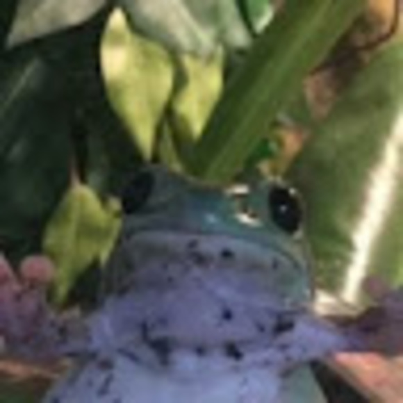 Meet your Posher, Robert - Picture 1 of 1